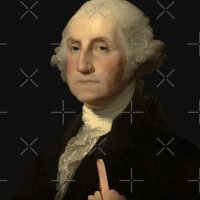 George Washington (The MF🖕) Patriot🇺🇸💥🤪(@chadbrinkley73) 's Twitter Profile Photo