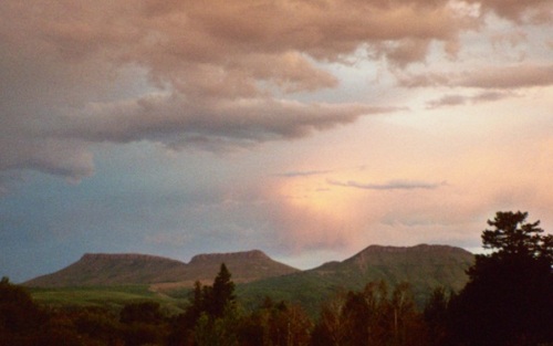 Hogsbacksa's profile picture. A quaint little village high up on the Amatola mountains, with forests, waterfalls, hikes, walks, mountain biking and tranquillity