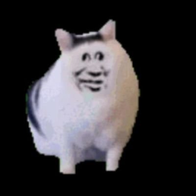 xi1134551774509's profile picture. bzzzzz…