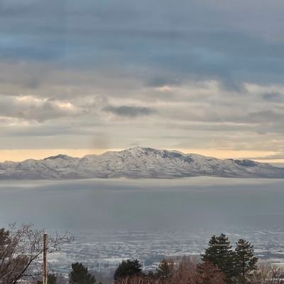 AlisaAllre16989's profile picture. 