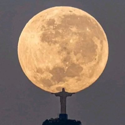 farkamerica's profile picture. Love the World, hate those thinking they run and rule it. They are few, we are many. Power to the people. Expose the WEF, WHO, UN and Big Pharma.