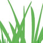 quaternion12345's profile picture. 