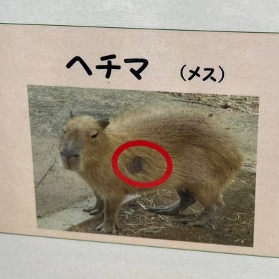 身内だけ