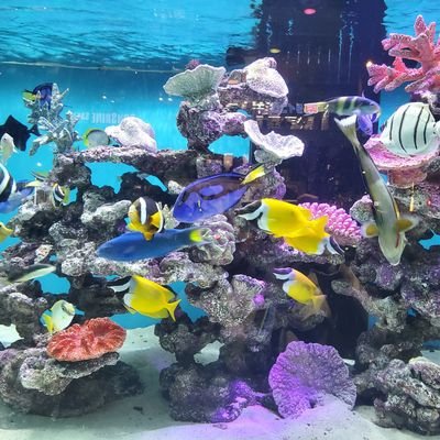 niminfraeng's profile picture. 