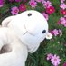 Lisa Chang (@lisachang392874) Twitter profile photo Lisa Chang (@lisachang392874) Twitter profile photo