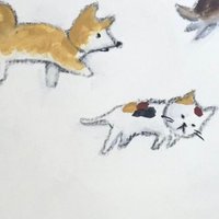 シャンティฅ•ﻌ•ฅ (@duhatyu) 's Twitter Profile Photo シャンティฅ•ﻌ•ฅ (@duhatyu) 's Twitter Profile Photo