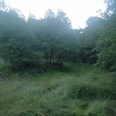 mercanikli39387's profile picture. Mevlam neylerse güzel eyler