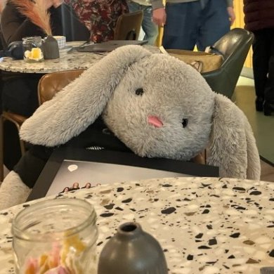 Pringle_UOWTap's profile picture. I'm the mascot for @Warwick_Tap 💙💃🏻 the OG tappy bunny 🐇
