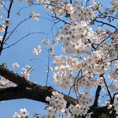 ゆるヲタ✨ キッザニア好き♥
miracleは永遠♥
でも専門アカではないので好き勝手呟きます(*´∀`)手作りの物が好きです💕
三姉妹の母やってます
三姉妹はガル戦大好きだけど、ガルちゃんラキちゃんたちの認識が難しい様子です😂