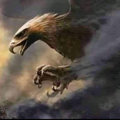 moha_habeb36282's profile picture. انا الي كان يضحك لي زماني  وما كنت أهاب من كلاب البراري انا كنت مسابق الريح للموت والموت قصر معاي انا فقدت وما انفقدت