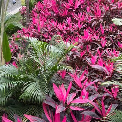 firefightingeng's profile picture. 学习英文，学习NFPA和IEC