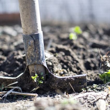 japhet_i_am's profile picture. “Those who work their land will have abundant food, but those who chase fantasies have no sense.” — Proverbs 12:11  
⠀  
Make Farming Great Again!