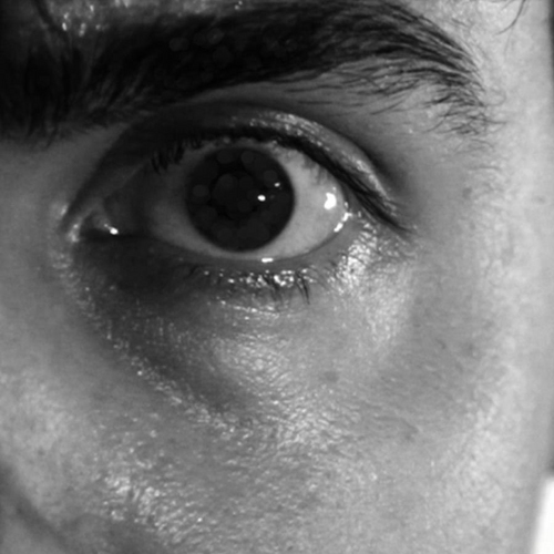 Docta_Mo's profile picture. dadrocker, car enthousiast, crazy cat guy