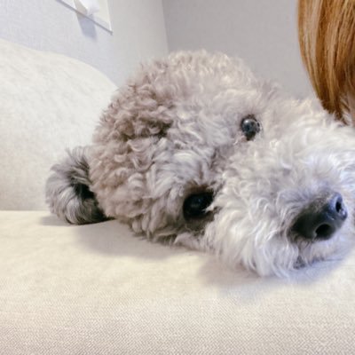 @yam_op0919
