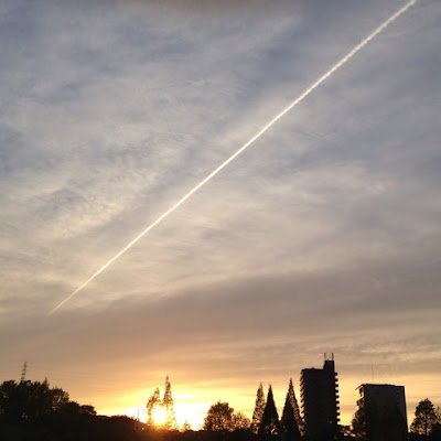 leevwsBUiu5207's profile picture. 2024.5.12 WEB制作勉強開始！
4歳&0歳のママ、育休中
#デイトラ