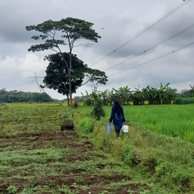 seorang pengembara