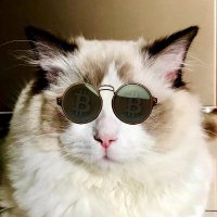 XP 🐡| ❤️ Memecoin | 🛸 |.fuel (@bxiaopang) 's Twitter Profile