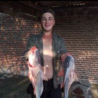 Jorgito yunis (@junisjorge) 's Twitter Profile