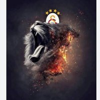 GALA PORST (@gorkemtimartas) Twitter profile photo