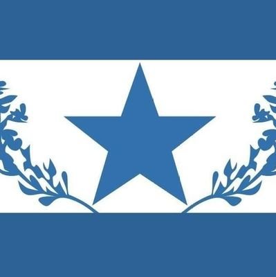 🇸🇴☪️