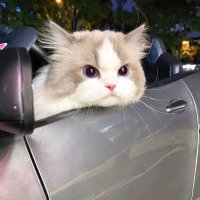 tinn (@notfu2saves) Twitter profile photo