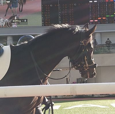 2022年3月から一口馬主をはじめました。
初出資:ソアヴィータ
初出走:グランツベリー
初勝利:ボンドオブラヴ
広尾とバヌーシーです。
https://t.co/LUzU7aAVns
阪神タイガースとシアトルマリナーズを応援しています。