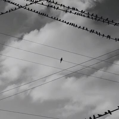 DrobieE's profile picture. 互关交友