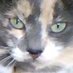asdf (@traderman222) Twitter profile photo asdf (@traderman222) Twitter profile photo