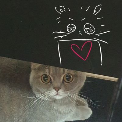 당신을 사랑하는 구독계