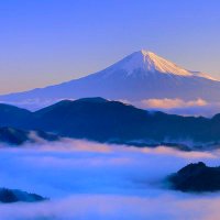 ハヤテ (@nljjocjvou18922) Twitter profile photo