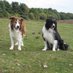 John (@bwcollie1) Twitter profile photo John (@bwcollie1) Twitter profile photo