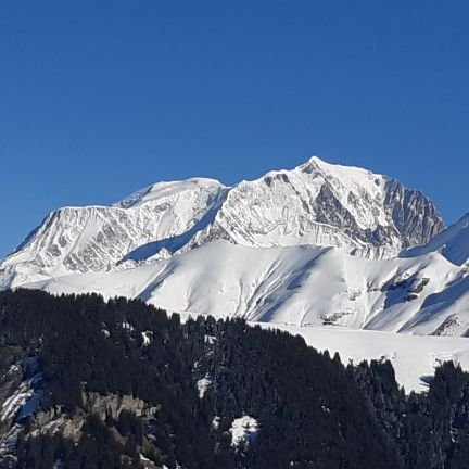 LM77021051's profile picture. 