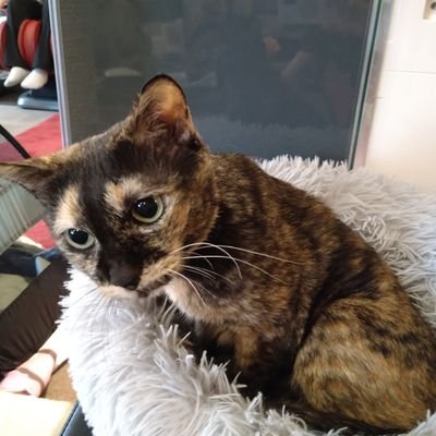 つかささんのプロフィール画像