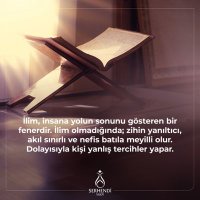 gül-i zâr (@sofyovgu) 's Twitter Profile