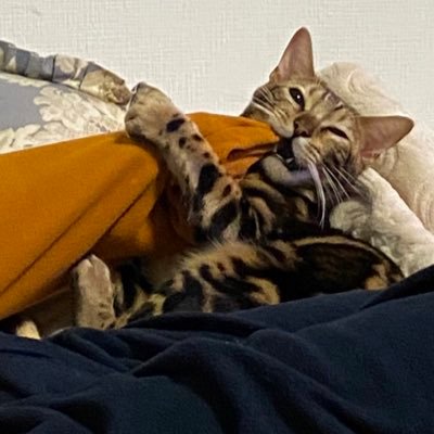 長いことしてた看護師の先生を辞めて、今は、現役看護師として療養病棟で働いてます。教員している時はQOLとかなんとか言ってたけど、あれこれ考えさせられる日々を送ってます🥲