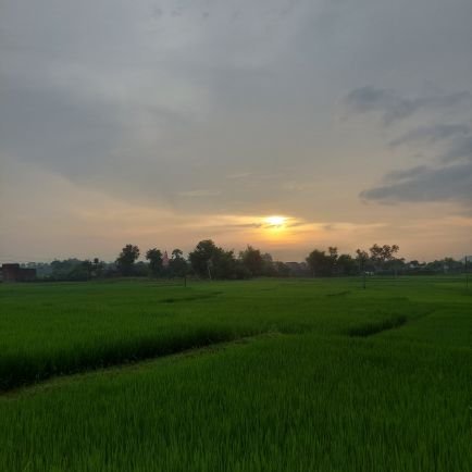 _PP14's profile picture. 👋 | Using this space to connect and learn | Views personal