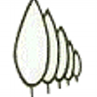 hovenier Almere (@vbrenk) 's Twitter Profile