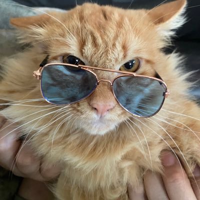 ffaazziirraa's profile picture. wife to @arif_saini       Free 🇵🇸