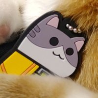 タダサバイバー (@tadasurvivor) 's Twitter Profile