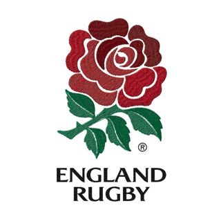 BrentNerys's profile picture. head chef at olif betws