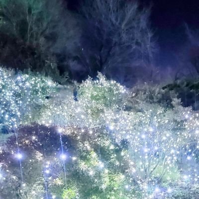 よんきがきたのでげんきです
低浮上/日記/リアタイ時のみ鍵ぱかしてみる