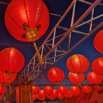 noa1027346's profile picture. 