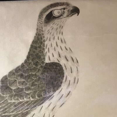 288809999999q's profile picture. 