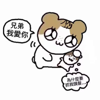 yuhao🐟☀さんのプロフィール画像
