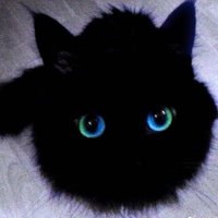 Butterfly!ng (@gra_grapesoda) 's Twitter Profile