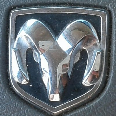 ElmoMp766207's profile picture. 