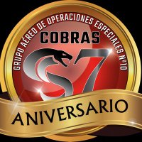 CobrasGrupo10(@cobrasgrupo10) 's Twitter Profile Photo
