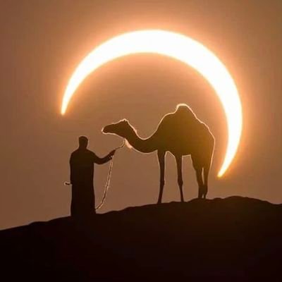 EthanWeber23's profile picture. 'I wandered everywhere, through cities and countries wide. Everywhere I went the universe was on my side'