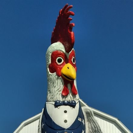 mdloyd01's profile picture. 