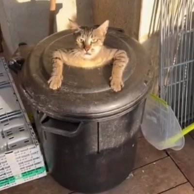 PonziCtrash's profile picture. 